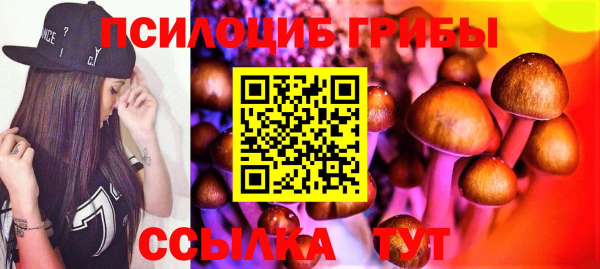 Галлюциногенные грибы Magic Shrooms  Псилоцибиновые грибы Cubensis  Советский  Вход с VPN 