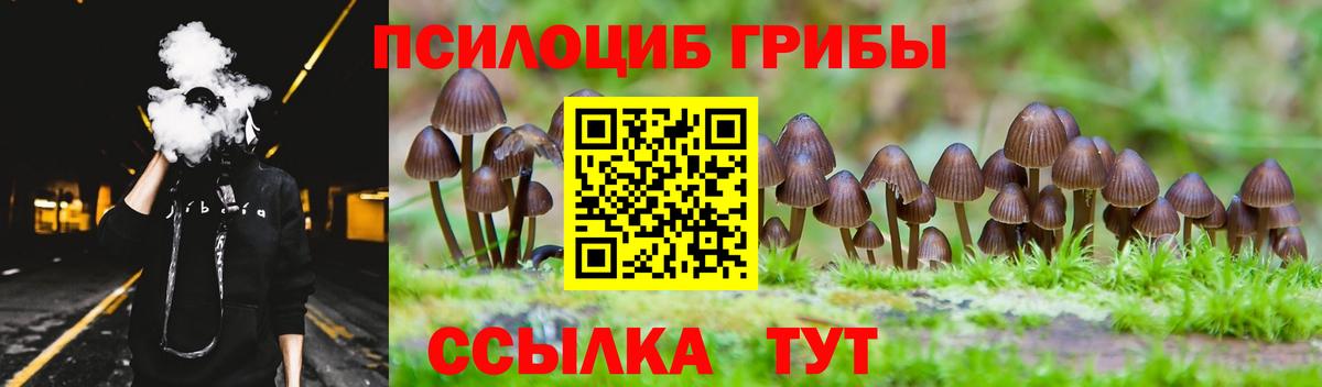 Галлюциногенные грибы Psilocybe Советский